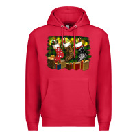 Cardinal Christmas Santa Socks Premium Hoodie - RanaPortraitStore