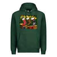 Sports Green Christmas Santa Socks Premium Hoodie - RanaPortraitStore
