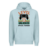 Level 13 Unlocked Official Teenager 13th Birthday Premium Hoodie | Teevron