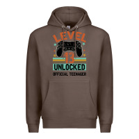 Coffee Level 13 Unlocked Official Teenager 13th Birthday Premium Hoodie - Bettercallsaul