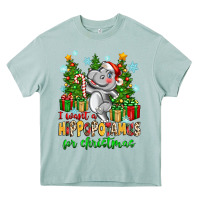 Arona i want a hippopotamus for christmas Heavy Core Tee - Zillion Design Studio
