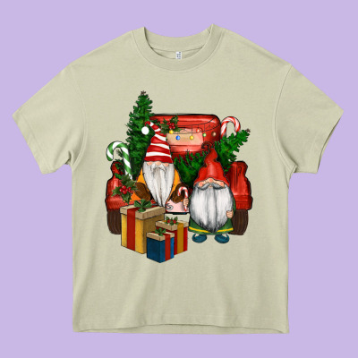 Heavy Core Tee Christmas Truck And Gnome
