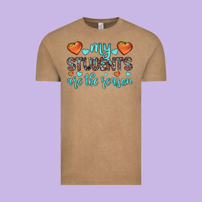 My Students Are The Reason Vintage Tee Designed By Jahusdesignshop