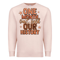 Pale Pink one month can't hold our history Premium Sweatshirt - LillyAllenDesigns