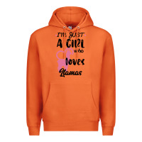 Carrot Just A Girl Who Loves Llamas I Love Llamas Premium Hoodie - Bettercallsaul