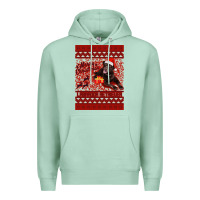 Seafoam Merry Christmas Labrador Retriever Premium Hoodie - Bettercallsaul