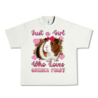 Pistachio Just A Girl Love Who Loves Guinea Pigs Urban Heavy Tee - Artiststas