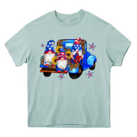 Arona american flag gnomes truck sunflowers star leopard Heavy Core Tee - Artiststas