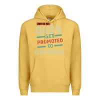 Antique Gold Only Great Dads Get Promoted To Grandad Premium Hoodie - Bettercallsaul