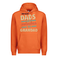 Carrot Only Great Dads Get Promoted To Grandad Premium Hoodie - Bettercallsaul