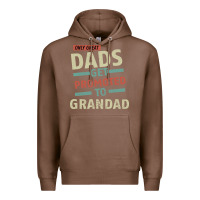 Chestnut Only Great Dads Get Promoted To Grandad Premium Hoodie - Bettercallsaul