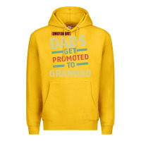 Lemon Only Great Dads Get Promoted To Grandad Premium Hoodie - Bettercallsaul