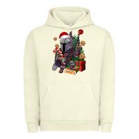 Pigment Pistachio Christmas gnome Urban Hoodie - CowGirlArtShop