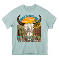 Arona shouldve come with a warning Heavy Core Tee - texasbilliewilder