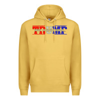 Antique Gold Trump 2020 Premium Hoodie - Bettercallsaul