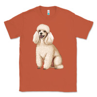 Copper standart poodle Classic Tee - Artiststas