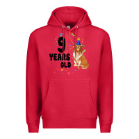 Cardinal 9 Years Old Premium Hoodie - Bettercallsaul