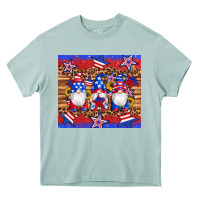 Arona american flag gnomes star leopard glitter tumbler Heavy Core Tee - Artiststas