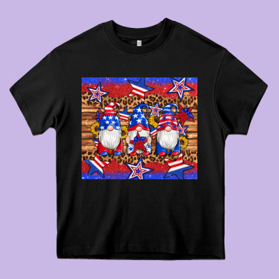 American Flag Gnomes Star Leopard Glitter Tumbler Heavy Core Tee Designed By Artiststas