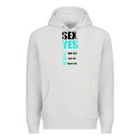 Dove Grey SEX YES HOT SEX SAFE SEX GREAT SEX Premium Hoodie - Bettercallsaul