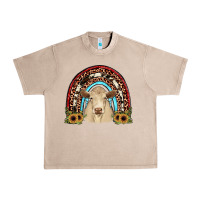 Charolais  Rainbow Urban Heavy Tee | Teevron