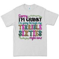 Dove Grey sorry i’m cranky i’m going through my terrible Premium Tee - texasbilliewilder