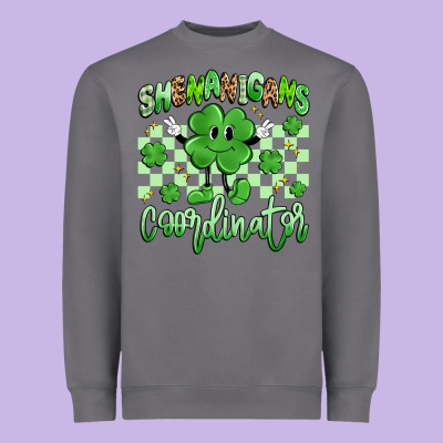 Shenanigans Coordinator Heavyweight Sweatshirt Designed By Artiststas