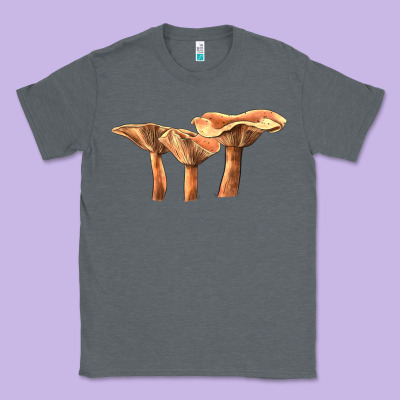Lactarius Rufus Mushroom Illustrations Classic Tee Designed By Lillyallendesigns