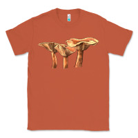 Copper Lactarius Rufus Mushroom Illustrations Classic Tee - LillyAllenDesigns