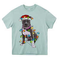 Arona Pitbull With Christmas Lights Heavy Core Tee - RanaPortraitStore