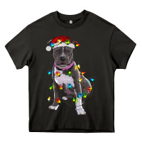 Asphalt Pitbull With Christmas Lights Heavy Core Tee - RanaPortraitStore
