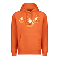 Carrot Three Little Foxes IN Fox Family I Gift Premium Hoodie - Bettercallsaul