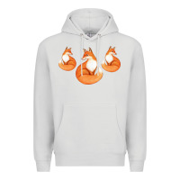 Dove Grey Three Little Foxes IN Fox Family I Gift Premium Hoodie - Bettercallsaul