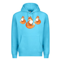 Ocean Blue Three Little Foxes IN Fox Family I Gift Premium Hoodie - Bettercallsaul