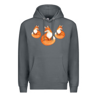 Rock Three Little Foxes IN Fox Family I Gift Premium Hoodie - Bettercallsaul