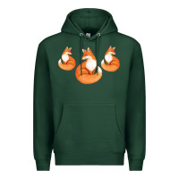 Sports Green Three Little Foxes IN Fox Family I Gift Premium Hoodie - Bettercallsaul
