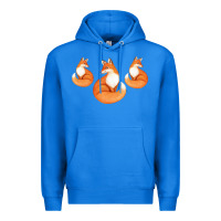 True Royal Three Little Foxes IN Fox Family I Gift Premium Hoodie - Bettercallsaul