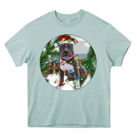 Arona Pitbull And Farm Heavy Core Tee - RanaPortraitStore