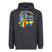 Lgbtq İ'm Cool With İt Heavyweight Hoodie | Teevron