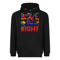 Black Love İs a Human Right Heavyweight Hoodie - BundleAndBundleShop