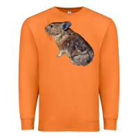 Carrot pika Premium Sweatshirt - LillyAllenDesigns