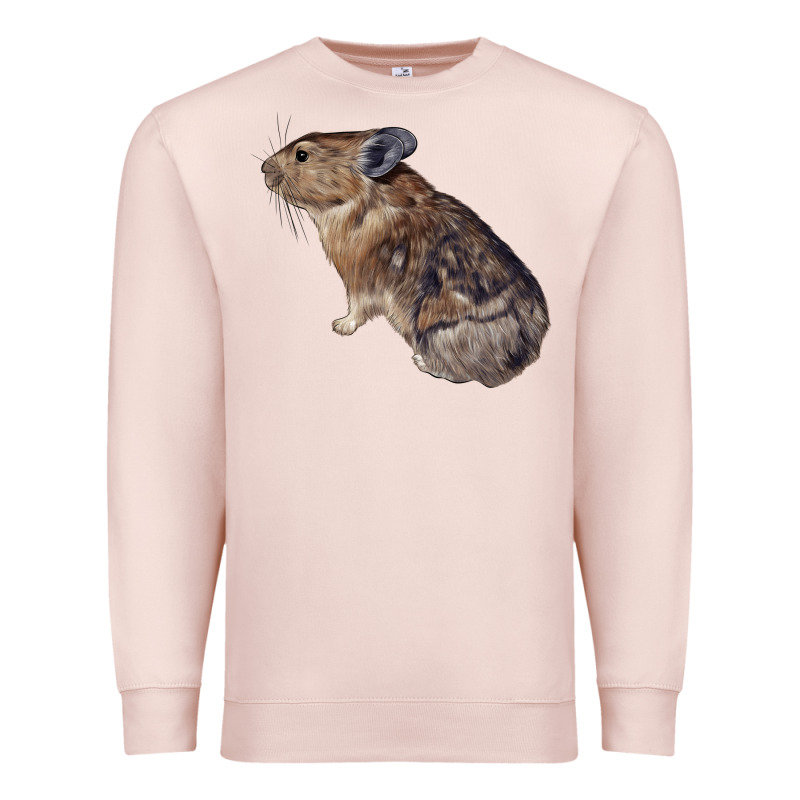 Pika Premium Sweatshirt by LillyAllenDesigns | Teevron