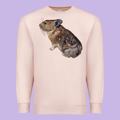Pika Premium Sweatshirt Designed By Lillyallendesigns
