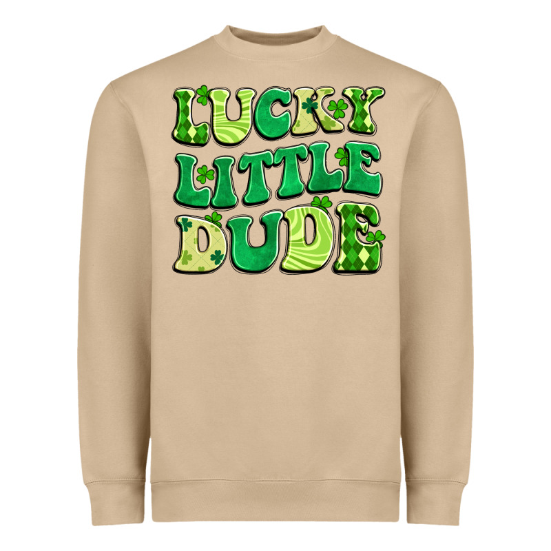 Lucky Little Dude Heavyweight Sweatshirt by Artiststas | Teevron