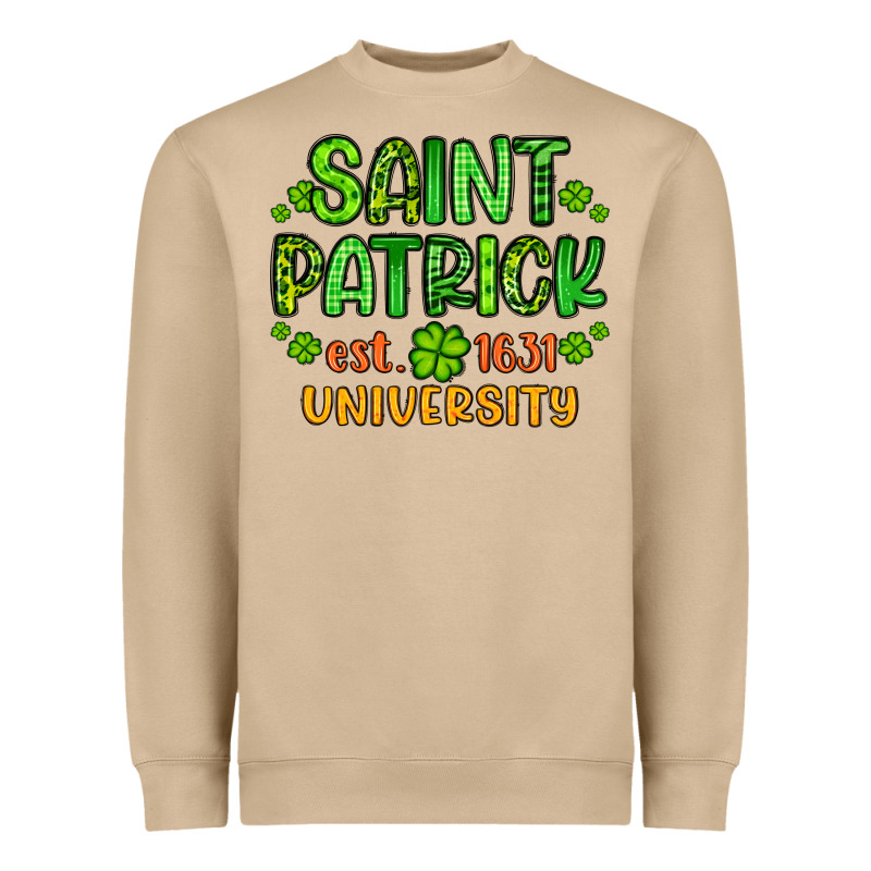 Saint Patrick University Heavyweight Sweatshirt by Artiststas | Teevron