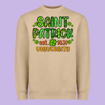 Saint Patrick University Heavyweight Sweatshirt Designed By Artiststas