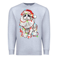 Heather Grey christmas ragdoll cat Premium Sweatshirt - LillyAllenDesigns