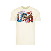 Vintage Arctic usa 4th of july Vintage Tee - Artiststas