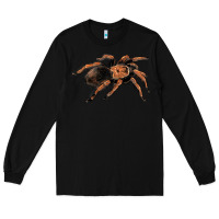 Black Mexican Red Knee Tarantula Long Sleeve Tee - LillyAllenDesigns