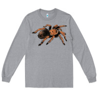 Heather Grey Mexican Red Knee Tarantula Long Sleeve Tee - LillyAllenDesigns
